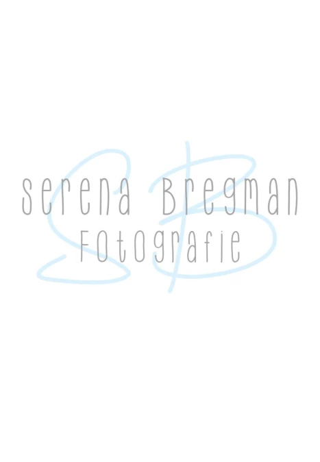 Serena Bregman
