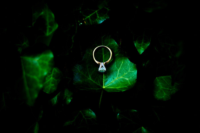 Collection 52 photo by Bobby Bandz