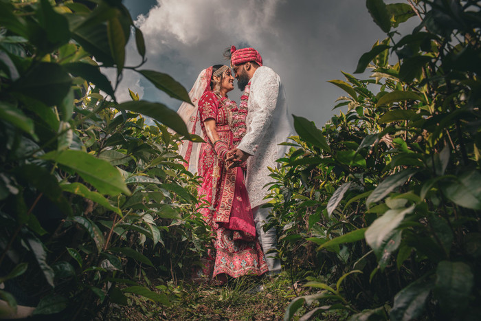 Collection 102 photo by Thekanand Jankeeram