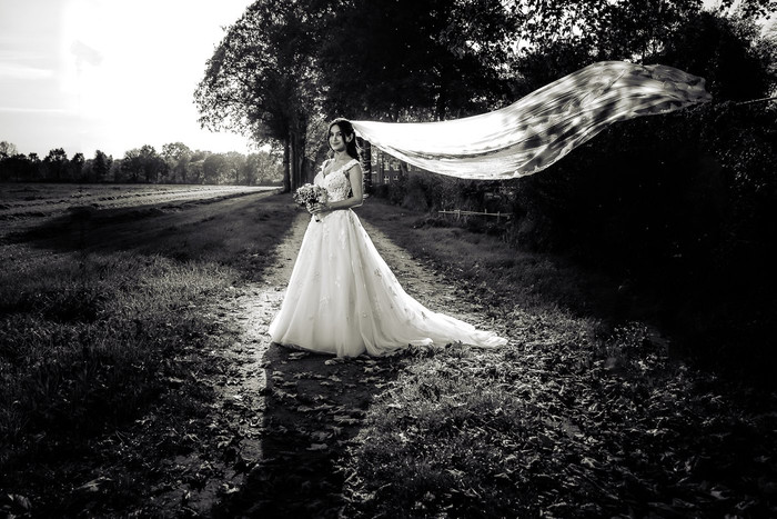 Collection 95 photo by Rob Weijers