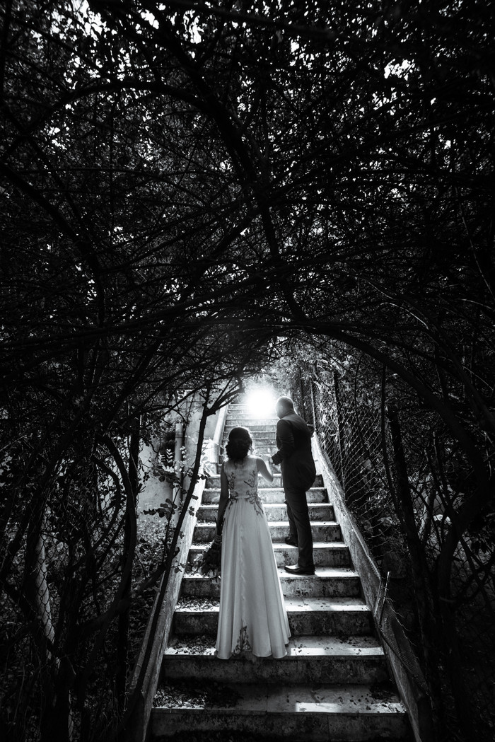 Collection 39 photo by Malek Haddad