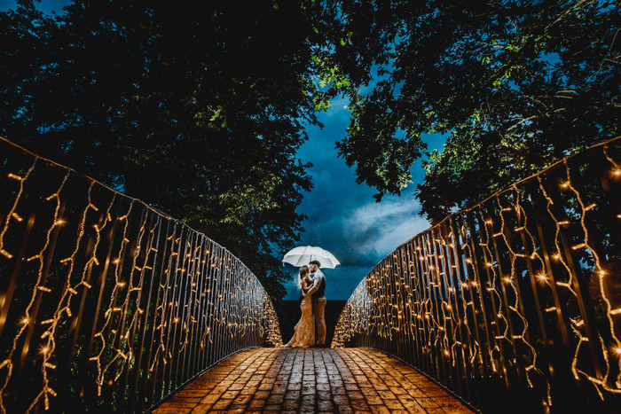 Collection 53 photo by Daniel Ackerley
