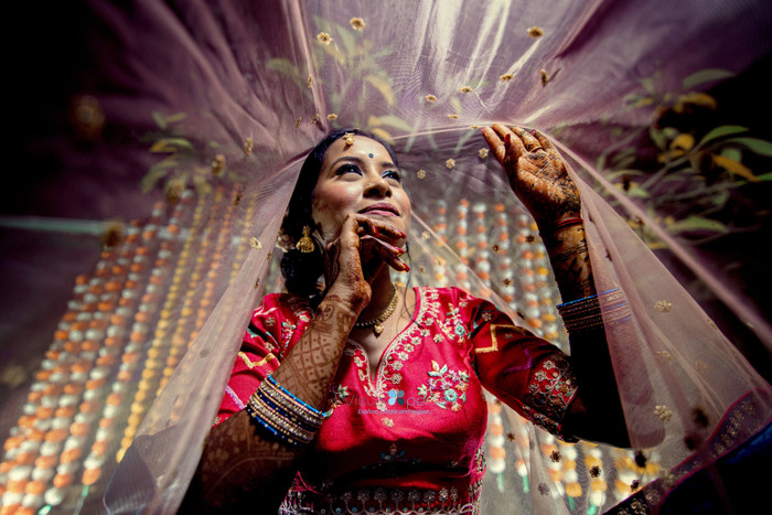 Collection 106 photo by Doushan Sewtohul
