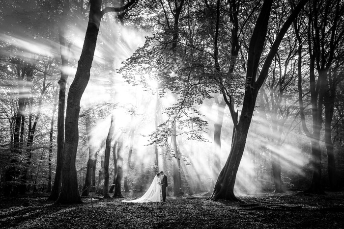 Collection 83 photo by Jan Van De Maat