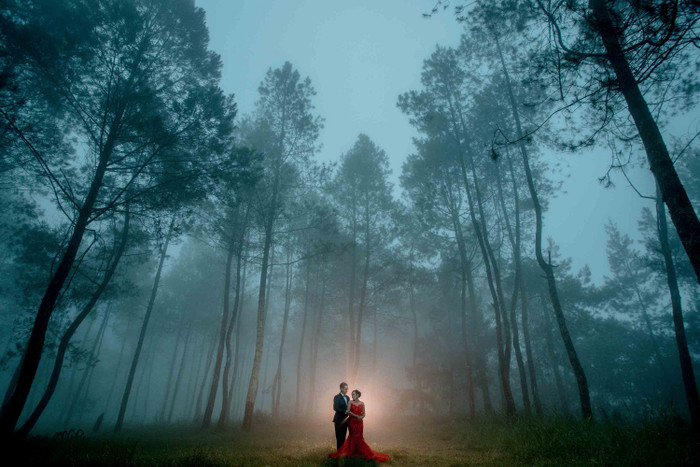 Collection 40 photo by Aditya Darmawan