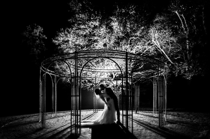 Collection 88 photo by Jan Van De Maat