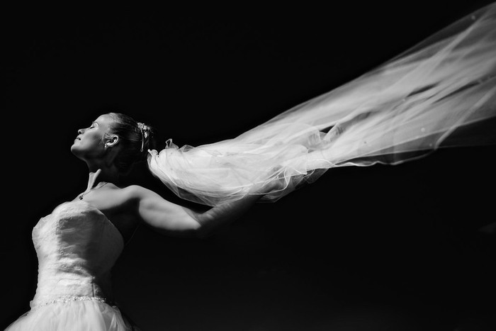 Collection 8 photo by Nicole Bosch