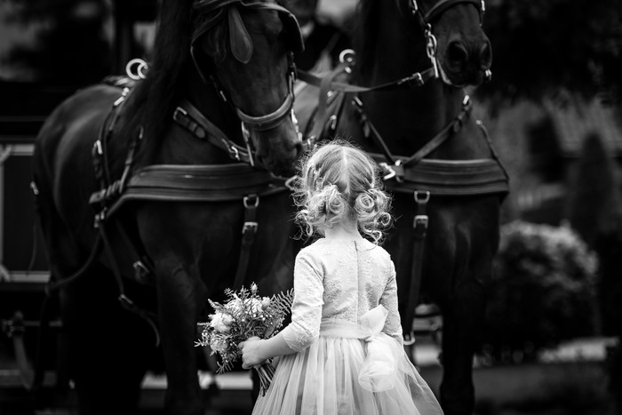 Collection 93 photo by Jan Van De Maat