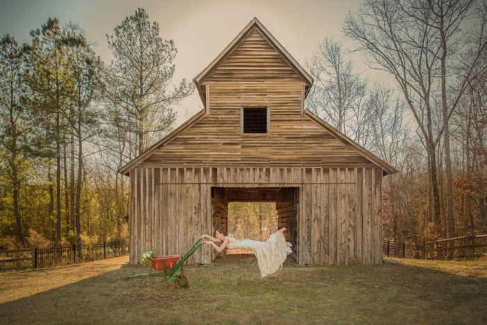 Collection 24 photo by Peter Togel