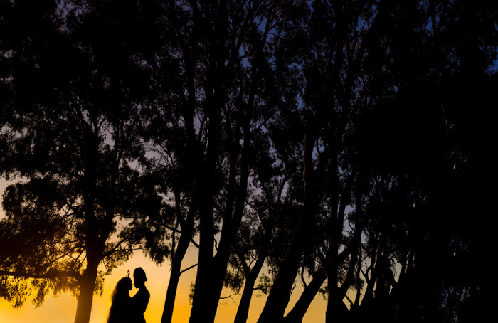 Collection 83 photo by Jacob Gordon