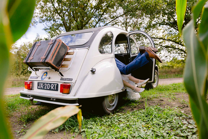 Collection 59 photo by Ilona Van Ingen