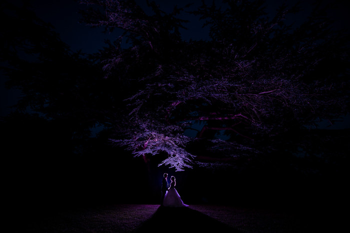 Collection 79 photo by Aaron Yorke