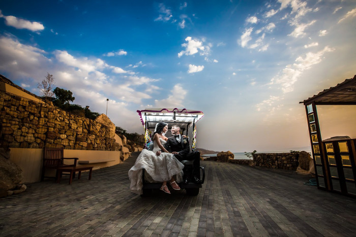 Collection 10 photo by Aladdin Qattouri