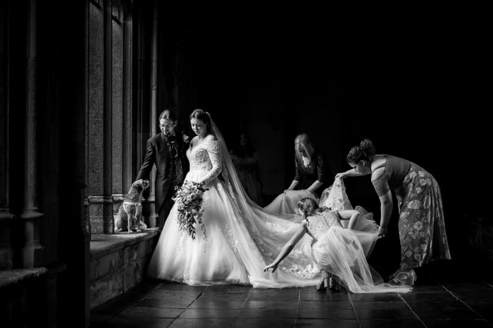 Collection 90 photo by Jan Van De Maat
