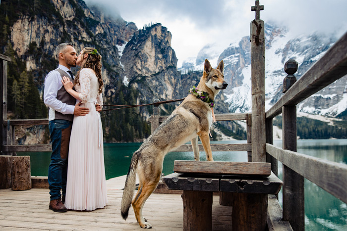 Collection 53 photo by Luca Gallizio