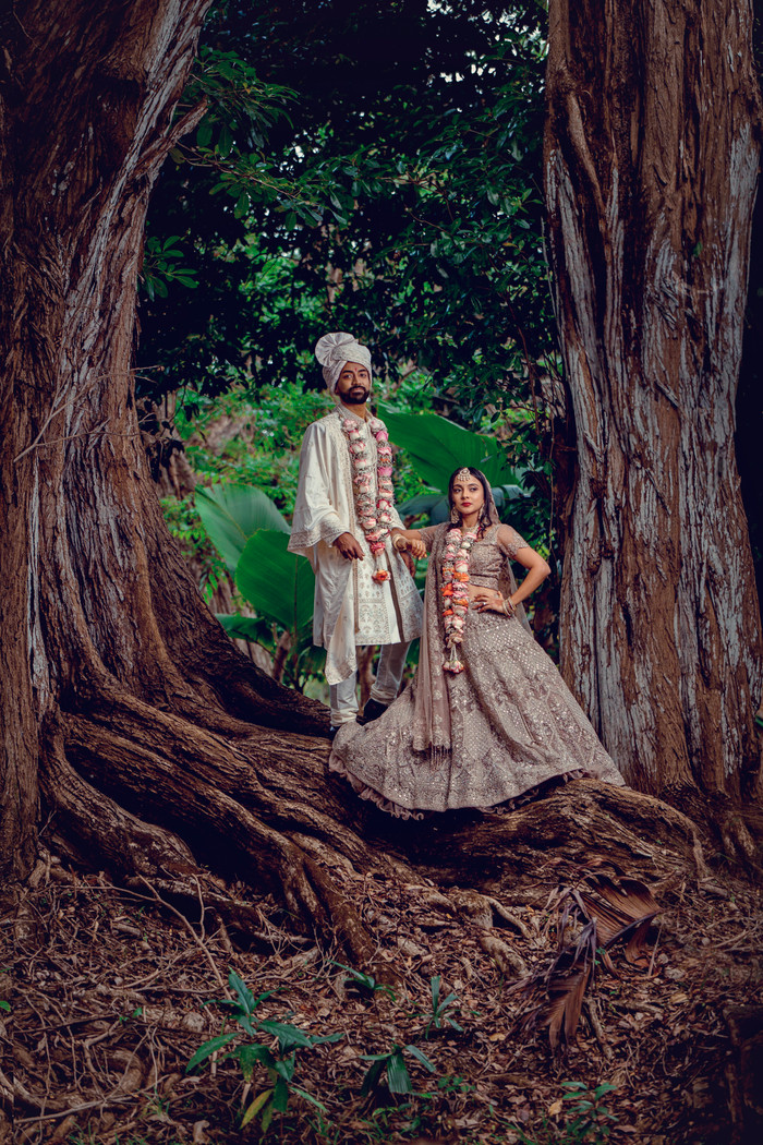 Collection 90 photo by Doushan Sewtohul