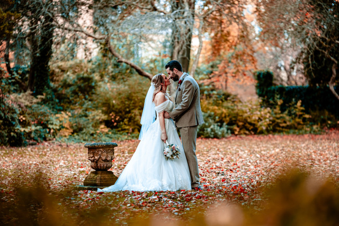 Collection 105 photo by Steve Dobson