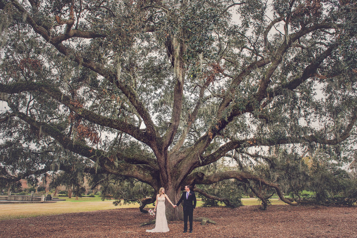 Collection 25 photo by Nicole Parrish-mclain
