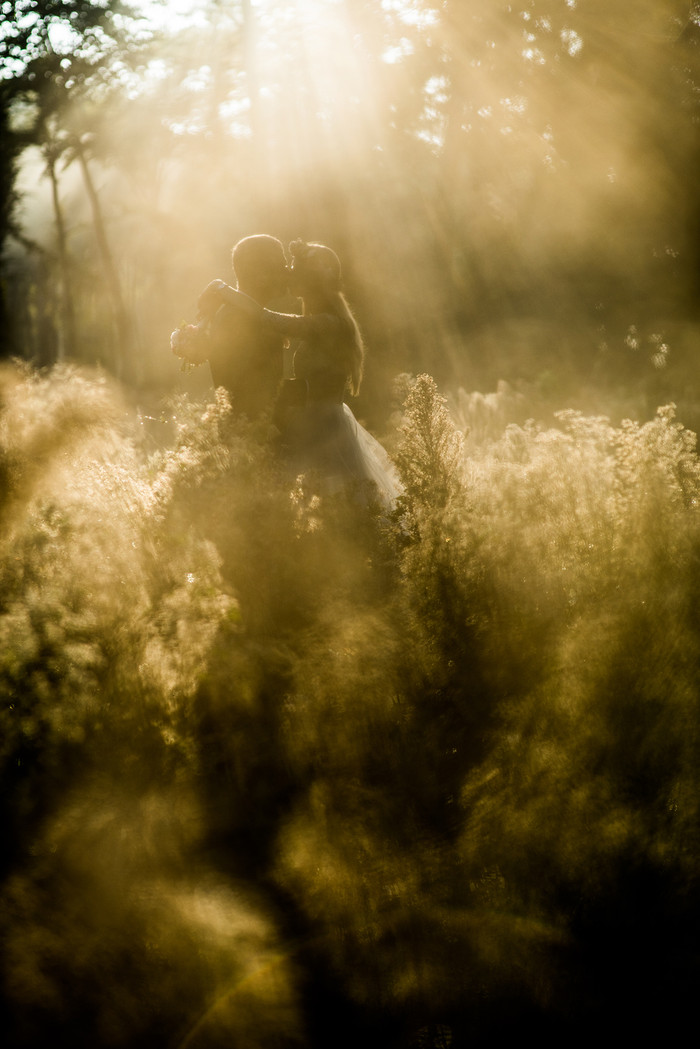 Collection 58 photo by Dariusz Roszak