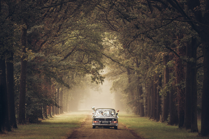 Collection 86 photo by Jan Van De Maat