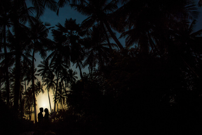 Collection 50 photo by Sonal Dalmia