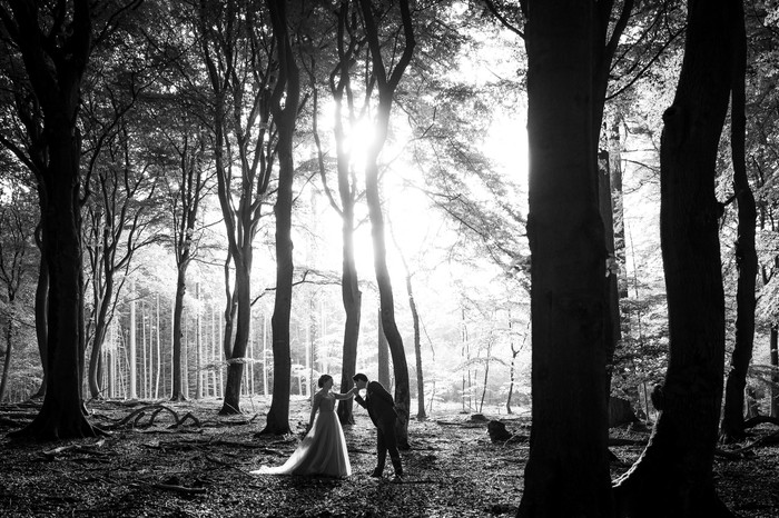 Collection 96 photo by Jan Van De Maat