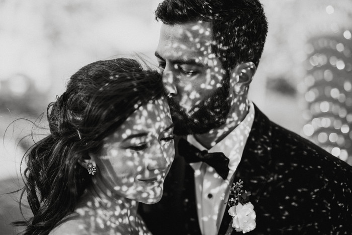 Collection 44 photo by Aly Kuler