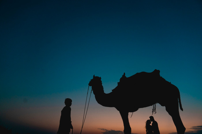 Collection 49 photo by Shubham Sharma