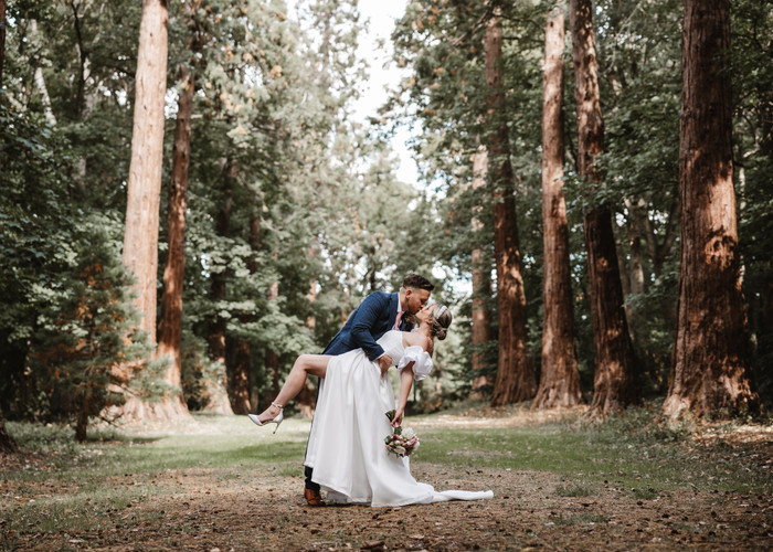 Collection 89 photo by Michelle Hardingham