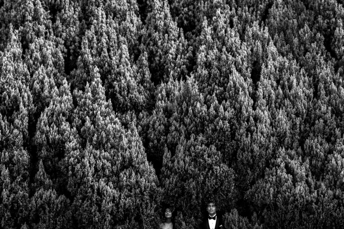 Collection 133 photo by Deepak Suriya