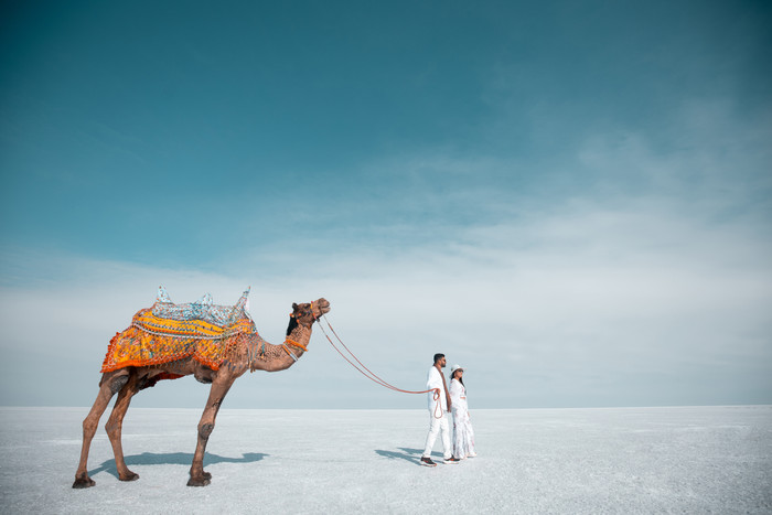 Collection 86 photo by Karan Rangoonwala