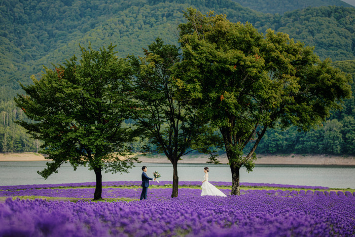 Collection 64 photo by Kaito Saito