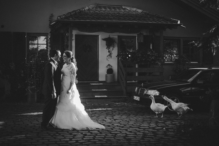 Collection 3 photo by Dejan Djuric