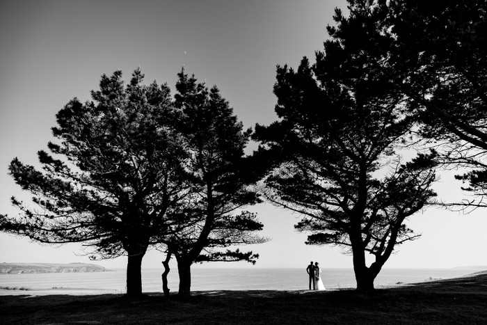 Collection 99 photo by Chris Armstrong