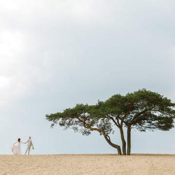 Photo de galerie 3