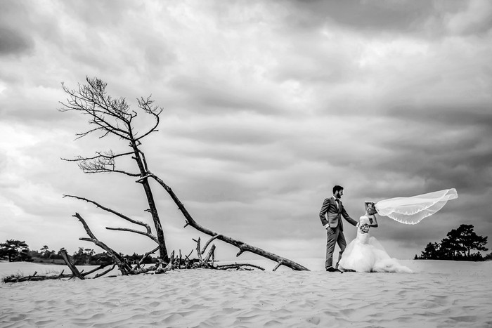 Collection 7 photo by Nicole Bosch
