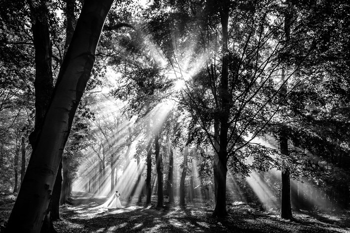 Collection 82 photo by Jan Van De Maat