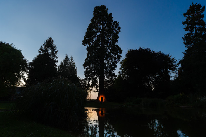 Collection 77 photo by Jonathan Bickle