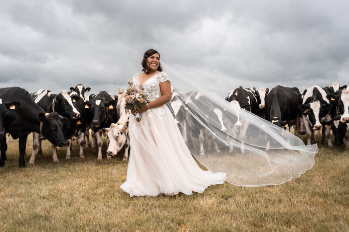 Collection 113 photo by Lisa Mulder