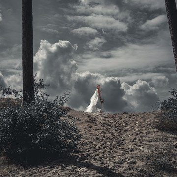 Photo de galerie 7