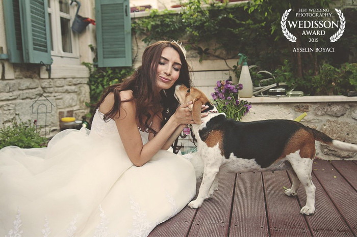 Collection 1 photo by Ayselin Boyaci