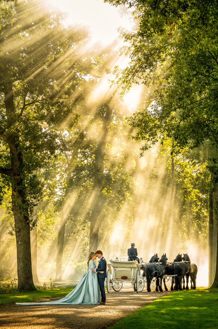 Collection 90 photo by Jan Van De Maat