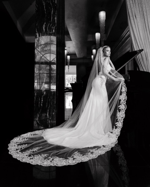 Collection 36 photo by Stacia Morgan