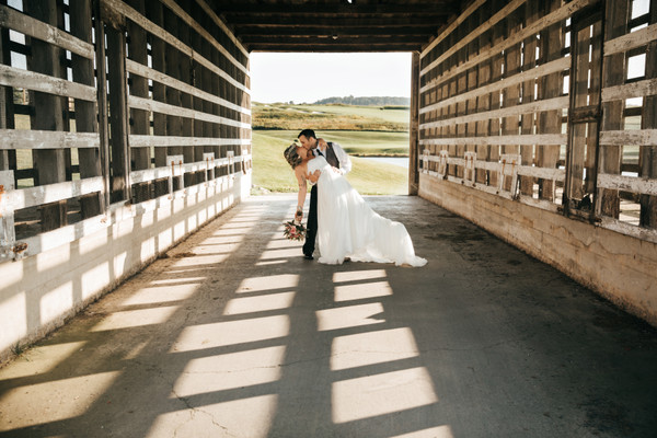 Collection 31 photo by Lindsey Koppenheffer