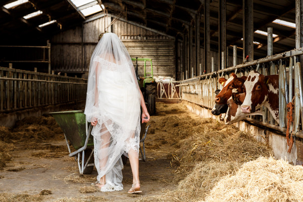 Collection 33 photo by Laura De Kwant