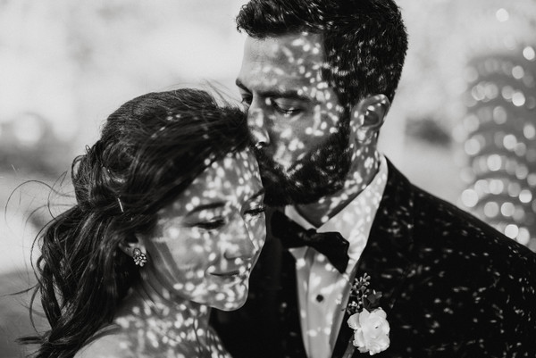 Collection 44 photo by Aly Kuler