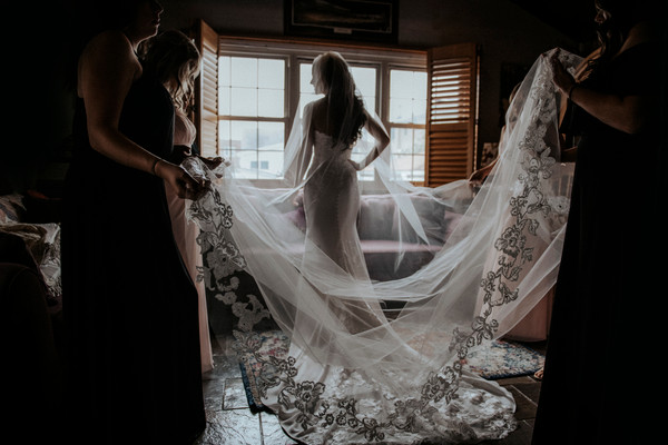 Collection 50 photo by Aly Kuler