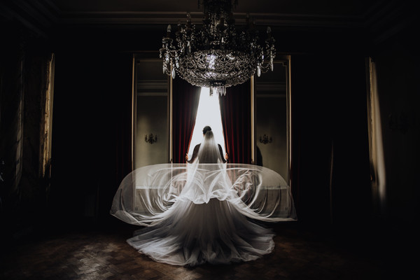 Collection 59 photo by Carolina Mosquera