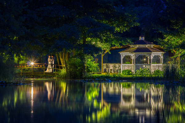 Collection 68 photo by Craig Howkins