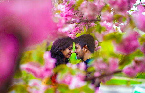 Collection 71 photo by Kamal Kiran